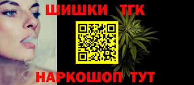 стаф Камышлов