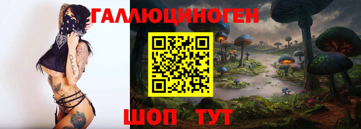 купить закладку  Галлюциногенные грибы мухоморы  Вход с VPN  Галлюциногенные грибы Psilocybe  Краснознаменск 